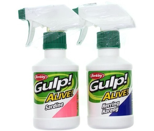 gulp alive