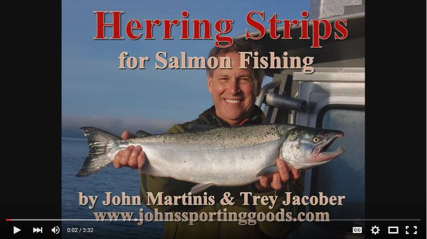 New Video: Herring Strips for Salmon Fishing